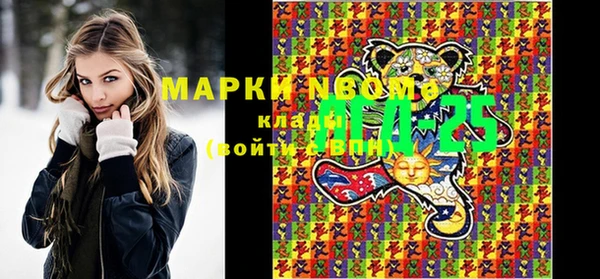 индика Лихославль