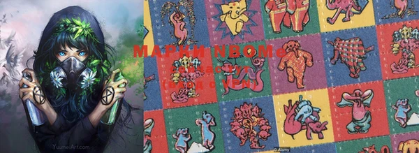индика Лихославль
