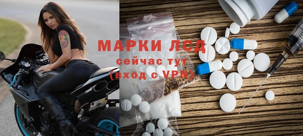 индика Лихославль