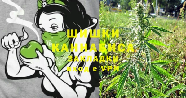 индика Лихославль