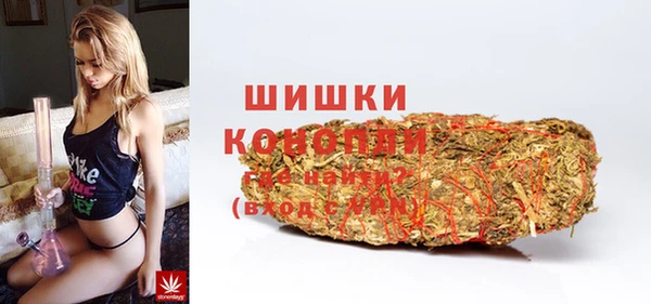 индика Лихославль