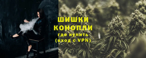 индика Лихославль