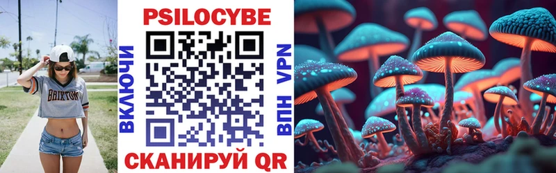 что такое   Петров Вал  Псилоцибиновые грибы GOLDEN TEACHER 