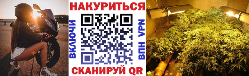 Бошки Шишки Bruce Banner  даркнет клад  Петров Вал 